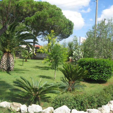 Campi Salentina Villa Rita Bed & Breakfast מראה חיצוני תמונה